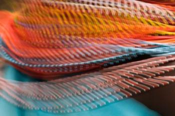 Samburu Dancer's Colorful Necklace, Samburu National Reserve, Kenya | Obraz na stenu