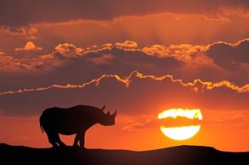 Kenya, Masai Mara Composite Of White Rhino Silhouette And Sunset | Obraz na stenu