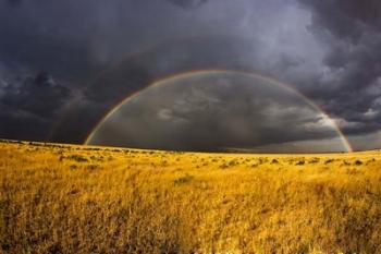 Rainbow in mist, Maasai Mara Kenya | Obraz na stenu