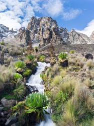 Central Mount Kenya National Park, Kenya | Obraz na stenu