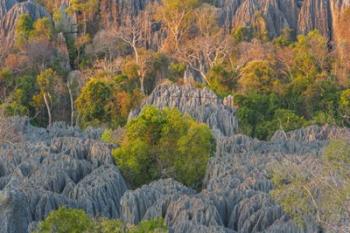 Limestone Formations, Tsingy de Bemaraha Strict Nature Reserve, Madagascar | Obraz na stenu