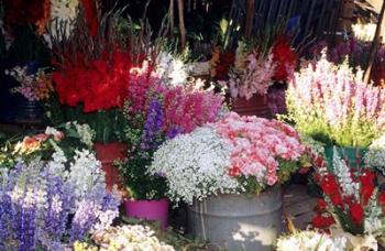 Bunch of Flowers at the Market, Madagascar | Obraz na stenu