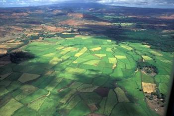 Aerial View of Fields in Northern Madagascar | Obraz na stenu