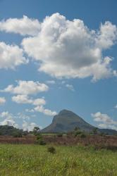 Sugar Cane Fields, Mauritius | Obraz na stenu