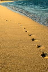 Footprints in the Sand, Mauritius, Africa | Obraz na stenu
