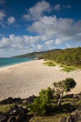 Mauritius, Rodrigues Island, St. Francois Beach | Obraz na stenu