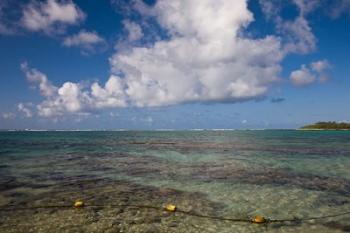 Mauritius, Southern Mauritius, Blue Bay, oceanfront | Obraz na stenu