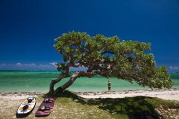 Mauritius, Le Morne Peninsula, Beach, Surfing | Obraz na stenu
