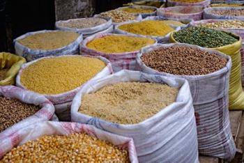 Fez, Morocco. Peas, Corn, Rice, Pasta, Lentils in Bags at Market. | Obraz na stenu