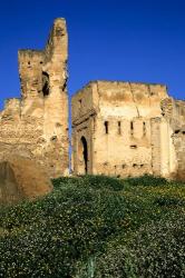 Fez, Morocco. Ruins of the Merinid Tombs, 16th. Century. | Obraz na stenu