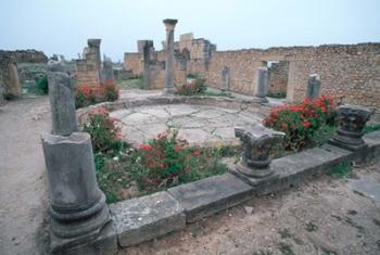 Ruins of Ancient Roman Mansion called House of Columns, Morocco | Obraz na stenu