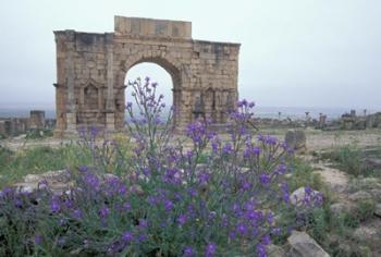 Ruins of Triumphal Arch in Ancient Roman city, Morocco | Obraz na stenu