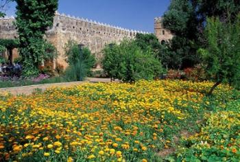 Gardens and Crenellated Walls of Kasbah des Oudaias, Morocco | Obraz na stenu