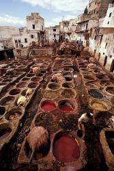 Tannery Vats in the Medina, Fes, Morocco | Obraz na stenu