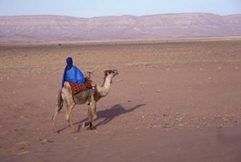 Man in Traditional Dress Riding Camel, Morocco | Obraz na stenu