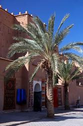 Berber Carpets of Ourzazate, Morocco, Africa | Obraz na stenu