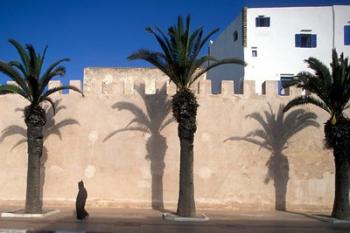 Man and Palm Shadows on Walled Medina, Essaouira, Morocco | Obraz na stenu