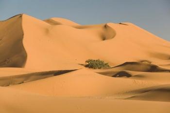 MOROCCO, Tafilalt, MERZOUGA: Erg Chebbi Desert | Obraz na stenu