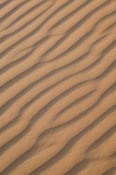 MOROCCO, Tafilalt, Erg Chebbi Dunes, Sand pattern | Obraz na stenu