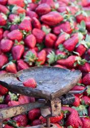 Strawberries for sale in Fes medina, Morocco | Obraz na stenu