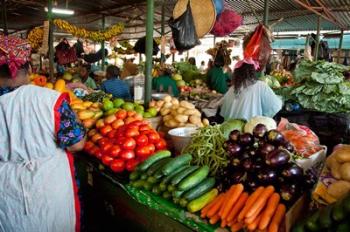 Mercado Municipal, Maputo, Mozambique | Obraz na stenu