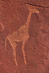 Ancient rock etchings, Twyfelfontein, Damaraland, Namibia | Obraz na stenu