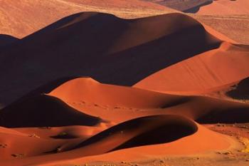 Sand dunes at Sossusvlei, Namib-Naukluft National Park, Namibia | Obraz na stenu