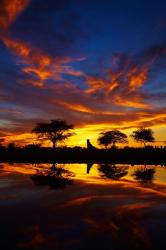 Sunrise, Okaukuejo Rest Camp, Etosha National Park, Namibia | Obraz na stenu