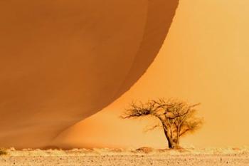 Namib-Naukluft National Park, Namibia | Obraz na stenu