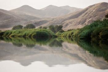 Greenery Along the Banks of the Kunene River, Namibia | Obraz na stenu