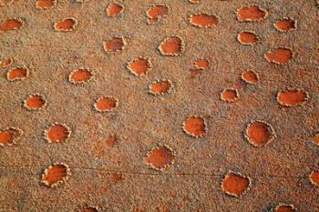 Fairy circles dotting the landscape of the Namib-Rand Nature Reserve, Sossusvlei, Nambia | Obraz na stenu