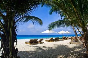 Private beach, Anse Bambous Beach, Seychelles | Obraz na stenu
