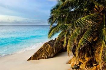 Ansi Victorin Beach, Seychelles | Obraz na stenu