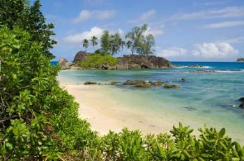 Coastal view on Mahe Island, Seychelles | Obraz na stenu