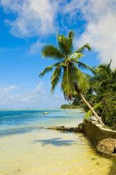 Clear Waters on Mahe Island, Seychelles, Africa | Obraz na stenu