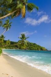 Beach at Chez Batista's Restaurant, Seychelles | Obraz na stenu