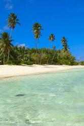 Beach, Desroches Resort, Desroches Island, Seychelles | Obraz na stenu