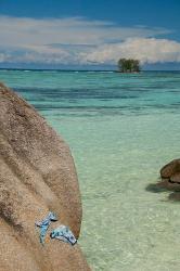 Seychelles, La Digue, Tropical escape | Obraz na stenu