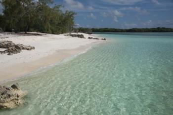 Picard Island White Sand Beach, Seychelles | Obraz na stenu