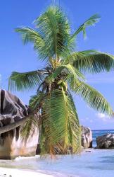 Granite Outcrops, La Digue Island, Seychelles, Africa | Obraz na stenu