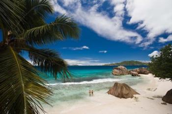 Anse Patates Beach, La Digue Island, Seychelles | Obraz na stenu