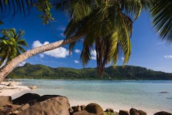 Seychelles, Mahe Island, Anse a la Mouche | Obraz na stenu