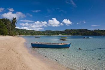 Seychelles, Mahe Island, Anse Boileau, beachfront | Obraz na stenu