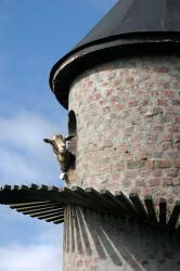 Fairview winery, goat tower, Paarl, South Africa | Obraz na stenu