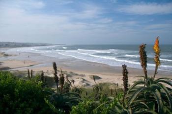 Stretches of Beach, Jeffrey's Bay, South Africa | Obraz na stenu