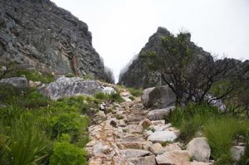 Hiking Up Table Mountain, Cape Town, Cape Peninsula, South Africa | Obraz na stenu