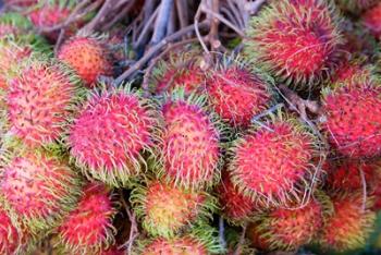 Tanzania, Zanzibar, StoneTown, Darajani Market, litchi | Obraz na stenu