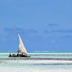 Sailboat along Zanzibar's Eastern Shore, Jambiani, Zanzibar, Tanzania. | Obraz na stenu