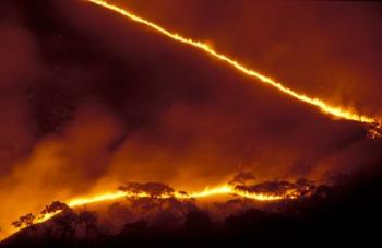 Forest Fire, Gombe National Park, Tanzania | Obraz na stenu