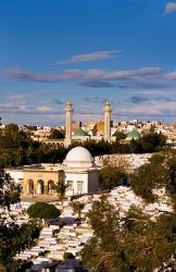 Bourguiba Mausoleum and cemetery in Sousse Monastir, Tunisia, Africa | Obraz na stenu